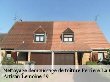 Nettoyage demoussage de toiture  ferriere-la-grande-59680 Artisan Lemoine 59