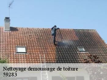 Nettoyage demoussage de toiture  59283