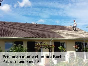 Peinture sur tuile et toiture  bachant-59138 Artisan Lemoine 59