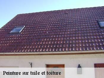 Peinture sur tuile et toiture