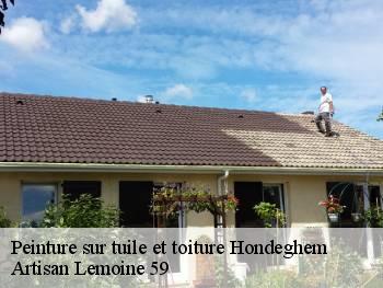 Peinture sur tuile et toiture  hondeghem-59190 Artisan Lemoine 59