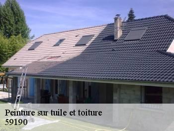 Peinture sur tuile et toiture  59190