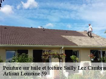 Peinture sur tuile et toiture  sailly-lez-cambrai-59554 Artisan Lemoine 59