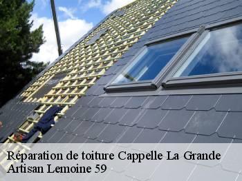 Réparation de toiture  cappelle-la-grande-59180 Artisan Lemoine 59